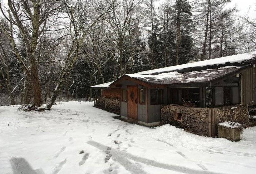 הוסטל Pension Tomato