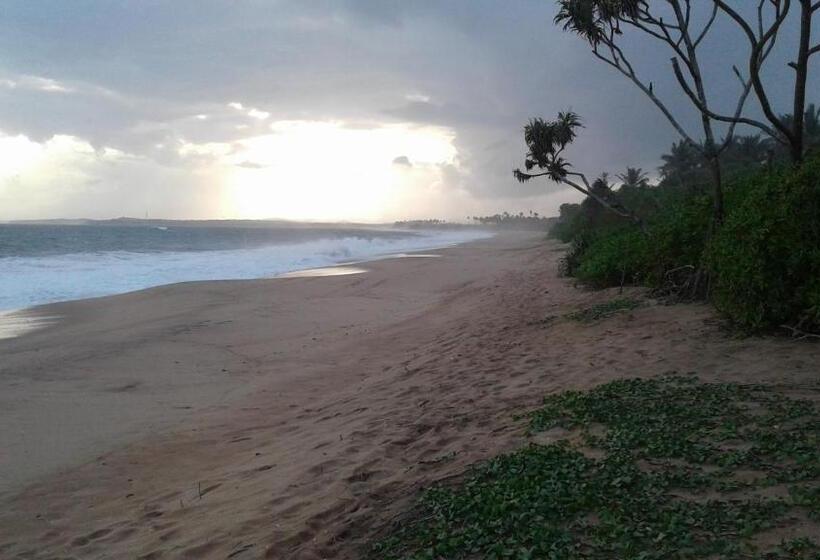 مبيت وإفطار Turtle Watch Cabana