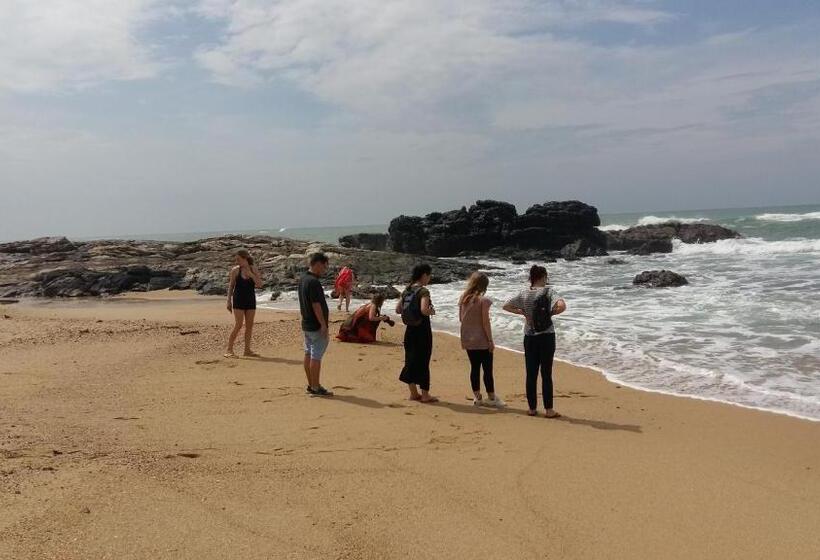 مبيت وإفطار Turtle Watch Cabana