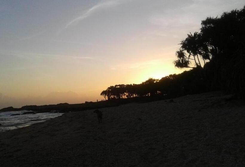 مبيت وإفطار Turtle Watch Cabana