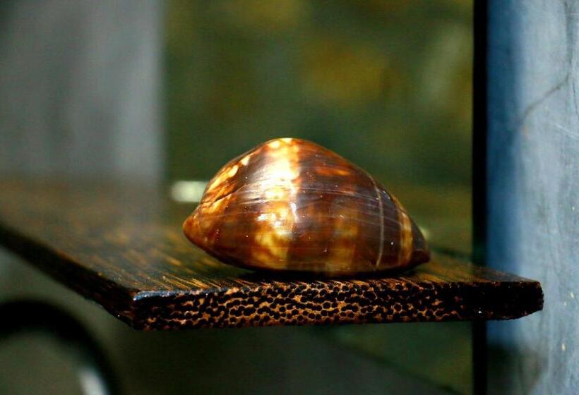 مبيت وإفطار Turtle Watch Cabana