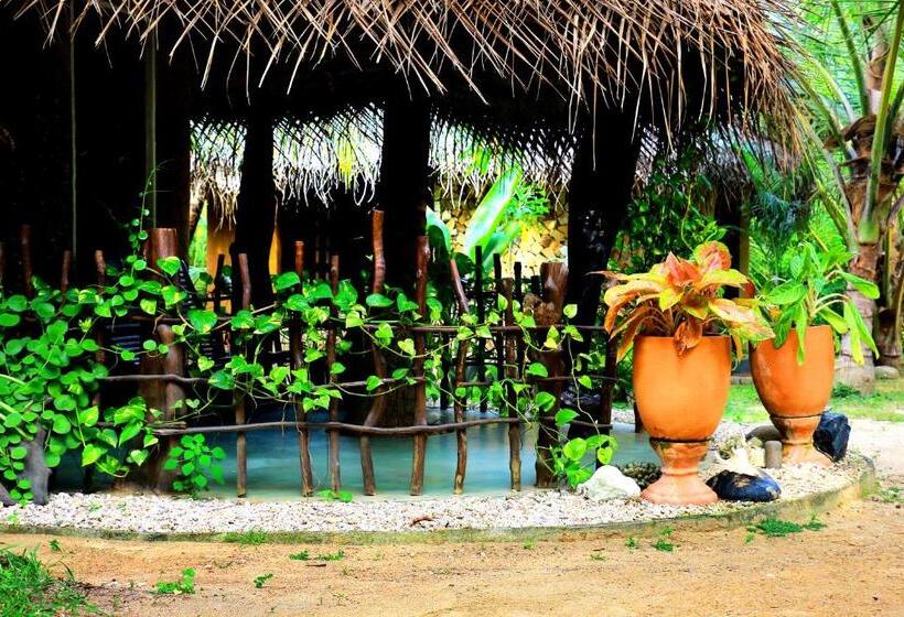 مبيت وإفطار Turtle Watch Cabana