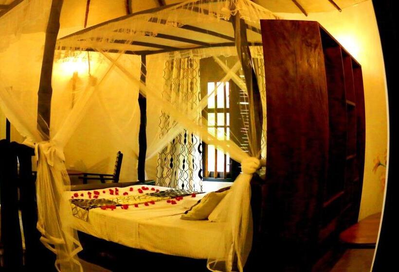 مبيت وإفطار Turtle Watch Cabana