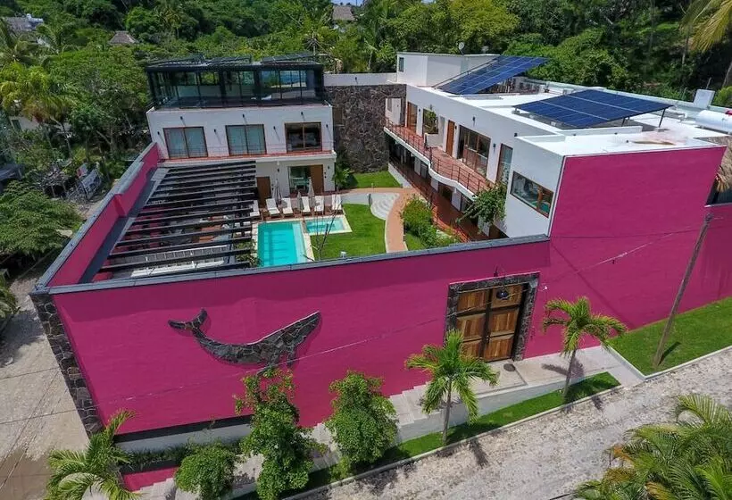 ホテル Casa De La Ballena