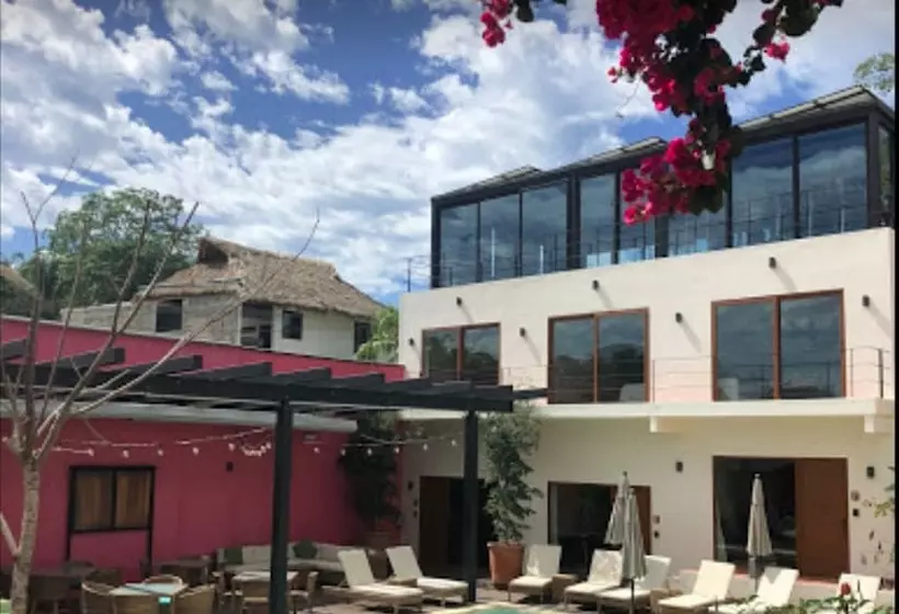 ホテル Casa De La Ballena