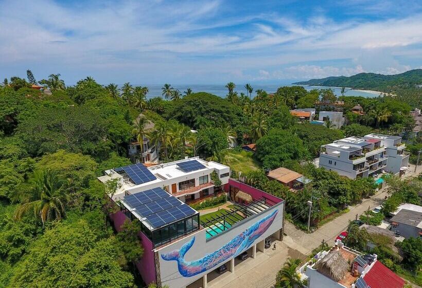 호텔 Casa De La Ballena