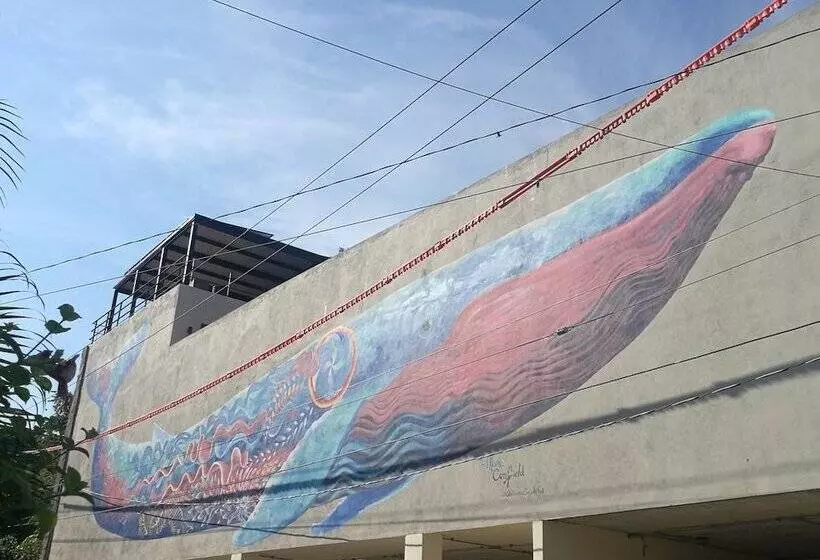 ホテル Casa De La Ballena