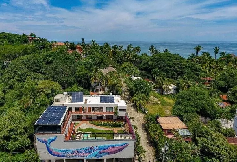 ホテル Casa De La Ballena