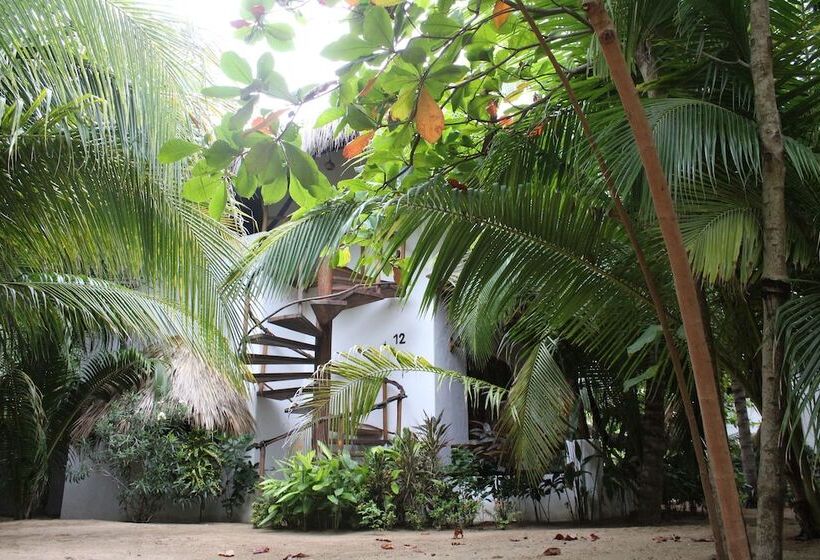 בית מלון כפרי Descalzo