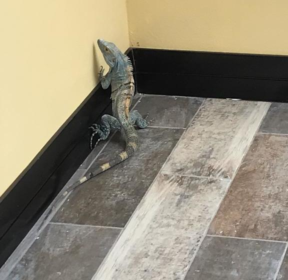 هتل Encanto Del Mar