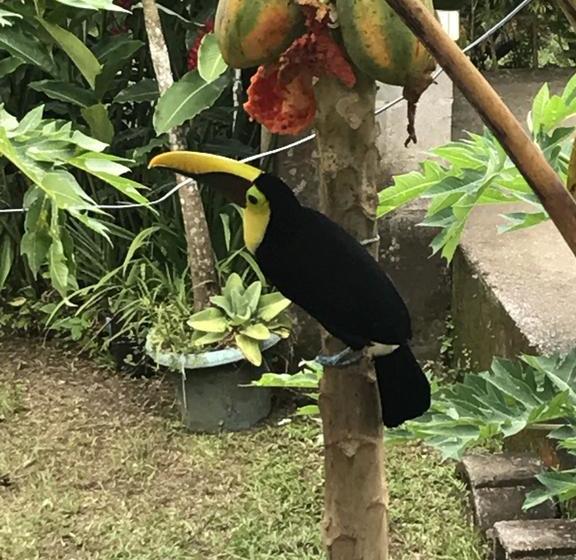 هتل Encanto Del Mar