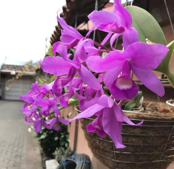 ホテル Encanto Del Mar
