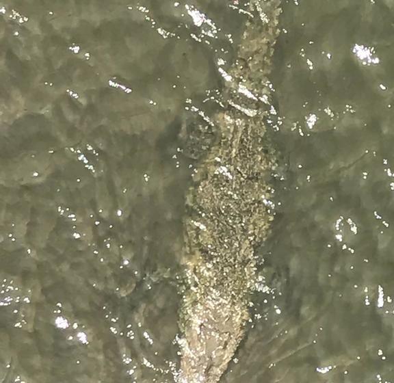 هتل Encanto Del Mar