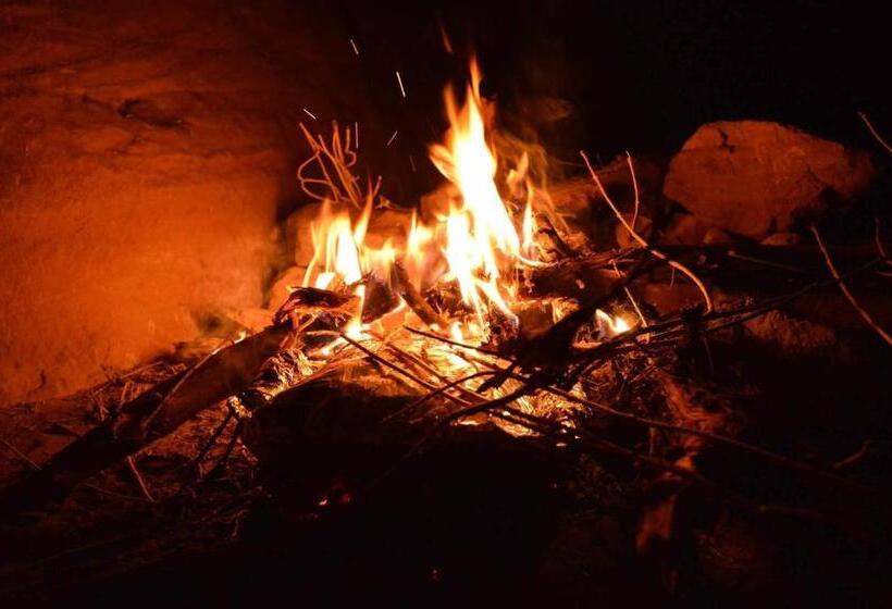 Petra Bedouin Bed And Breakfast