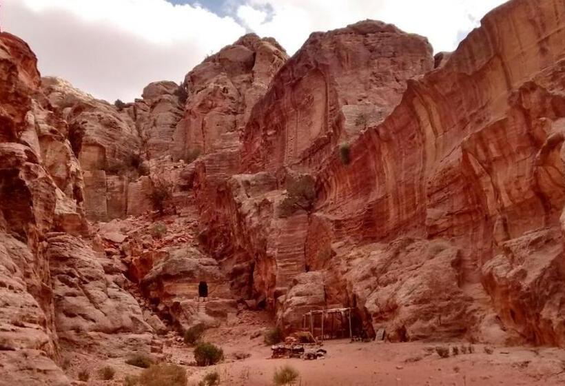 Petra Bedouin Bed And Breakfast