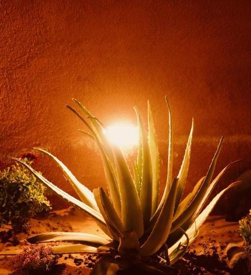 Petra Bedouin Bed And Breakfast