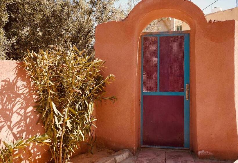 Petra Bedouin Bed And Breakfast