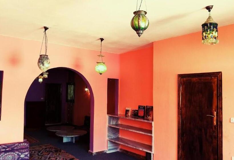 Petra Bedouin Bed And Breakfast