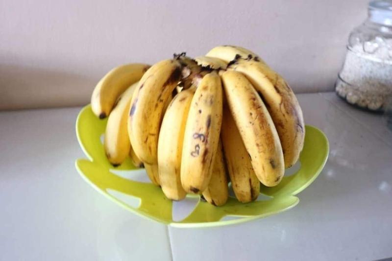 호스텔 Escape Backpackers Kk