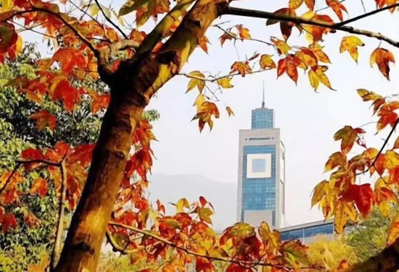 ホテル Ibis Wenzhou University
