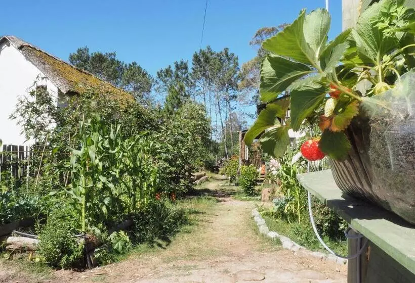 Aamiaismajoitus (B&B) Choclo