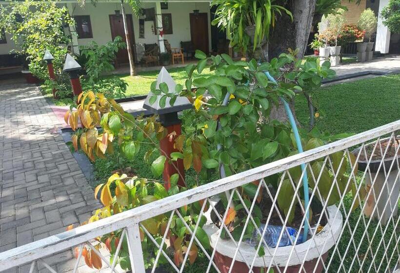 مبيت وإفطار Villa 67