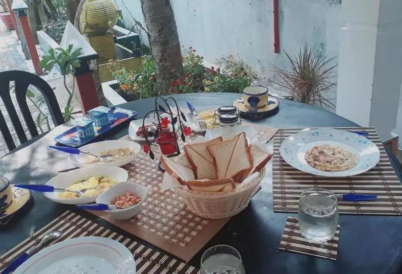 تختخواب و صبحانه Villa 67
