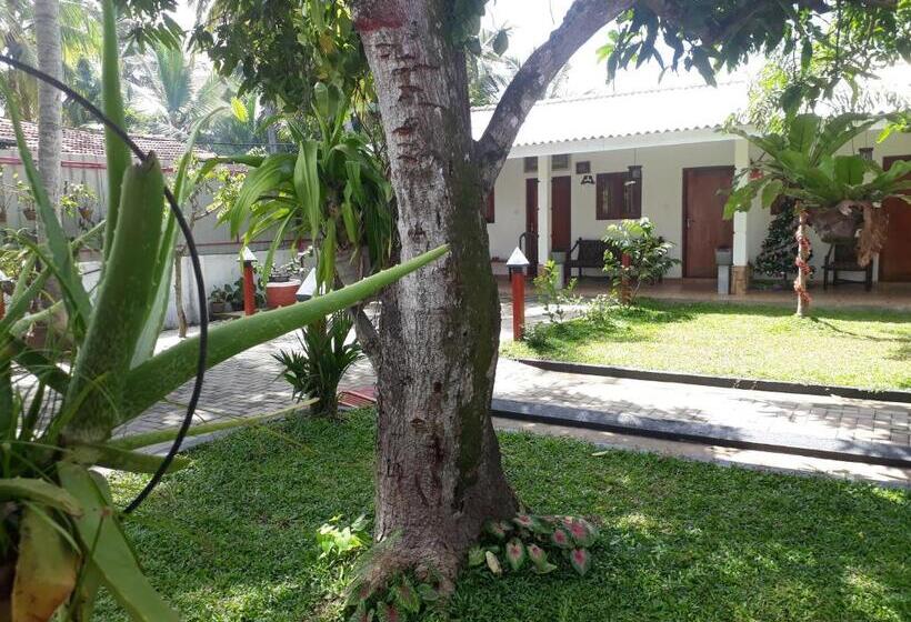 مبيت وإفطار Villa 67