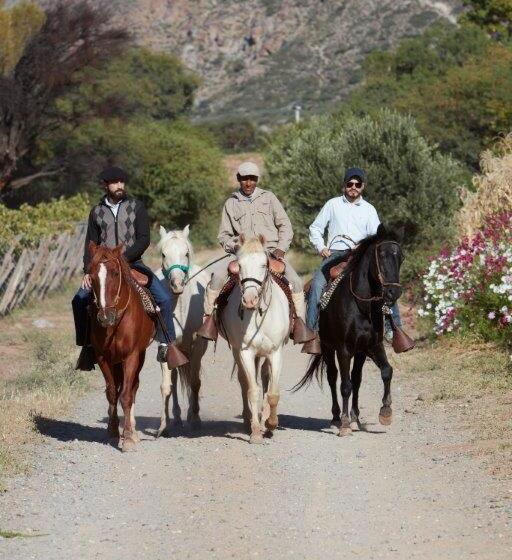 فندق Estancia Colome