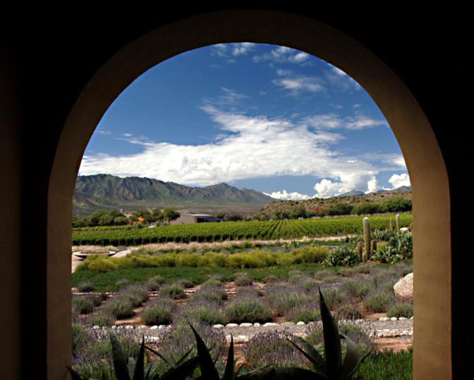 فندق Estancia Colome