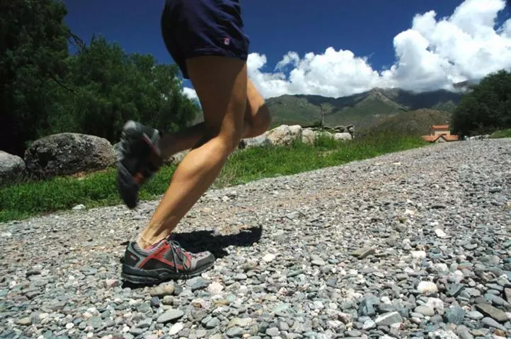 Hotelli Estancia Colome