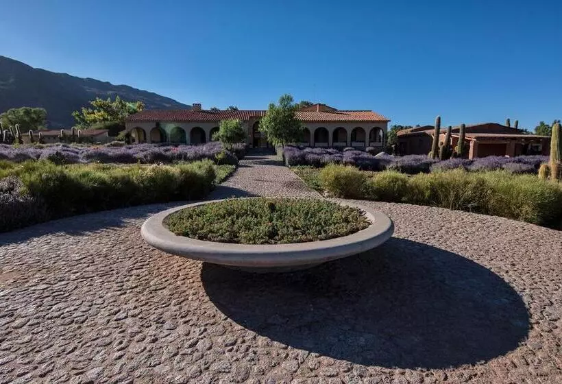 Hotelli Estancia Colome