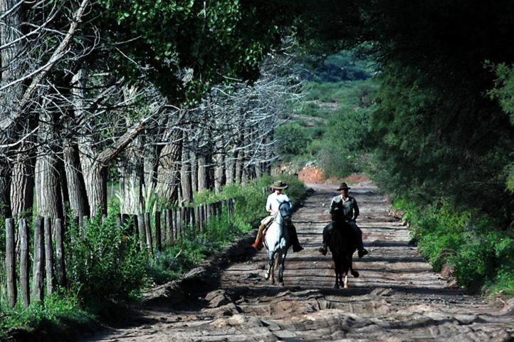 فندق Estancia Colome
