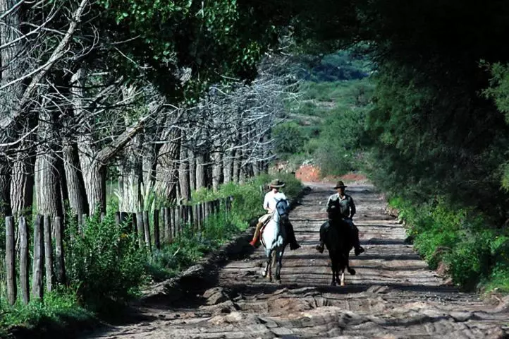 Hotelli Estancia Colome