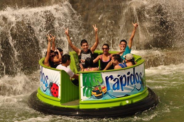 هاستل Aparthotel 2km Parque Del Café Bookutrip