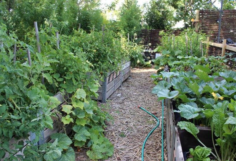 민박 Aquaelberg Place