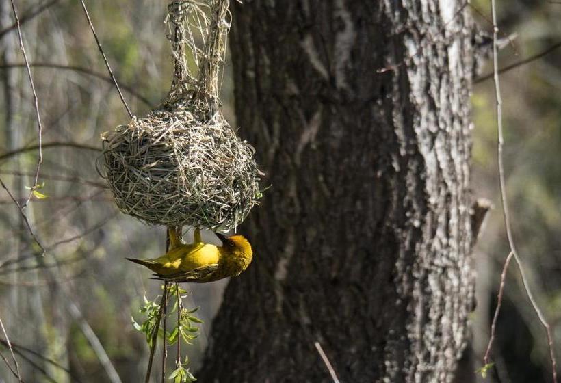 민박 Aquaelberg Place