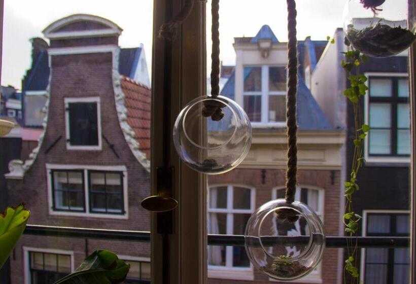 ベッドアンドブレックファースト Attic Monkeys Lodge