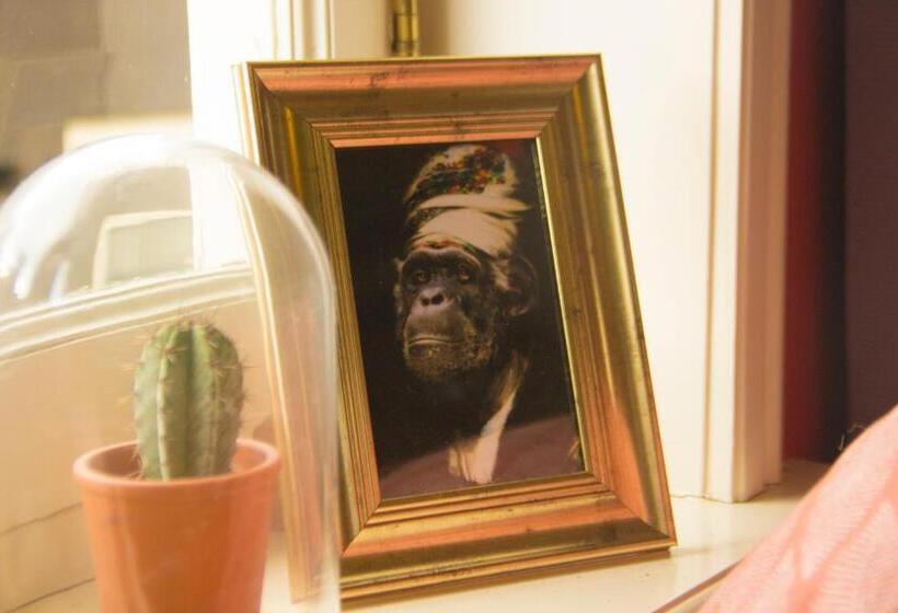 ベッドアンドブレックファースト Attic Monkeys Lodge