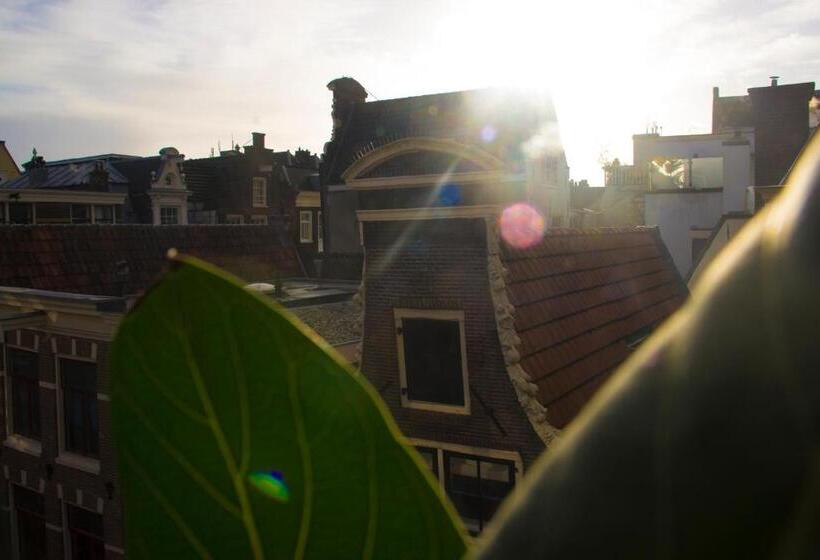 ベッドアンドブレックファースト Attic Monkeys Lodge