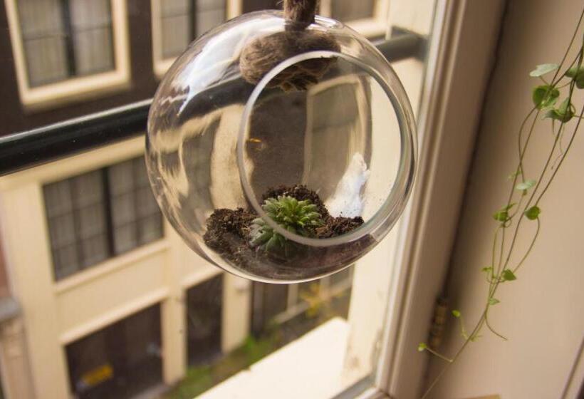 ベッドアンドブレックファースト Attic Monkeys Lodge