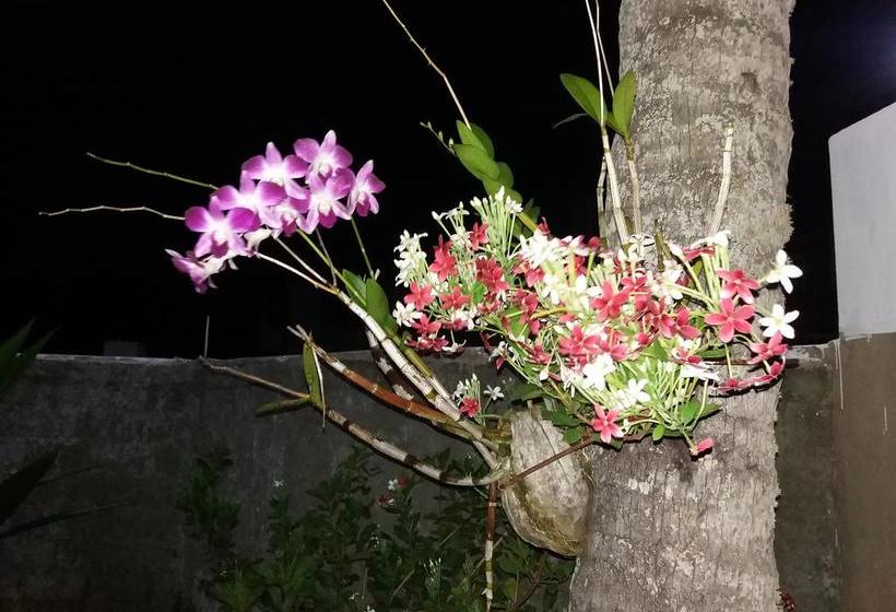 민박 Optimum Residencies