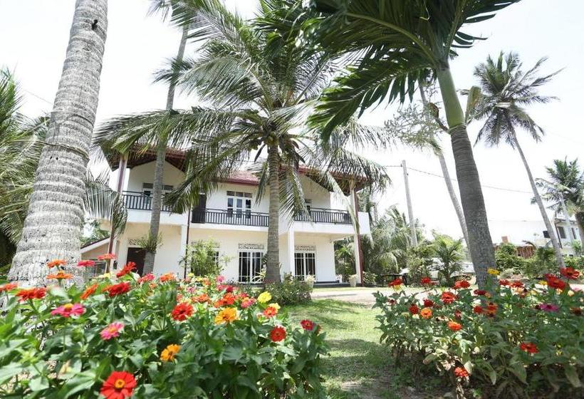 민박 Optimum Residencies