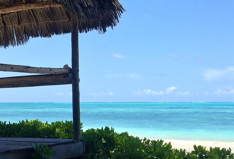 فندق Driftwood Beach Lodge