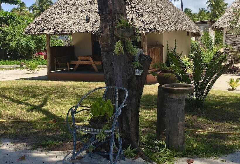 فندق Driftwood Beach Lodge