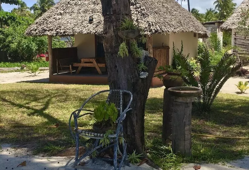 Hotelli Driftwood Beach Lodge