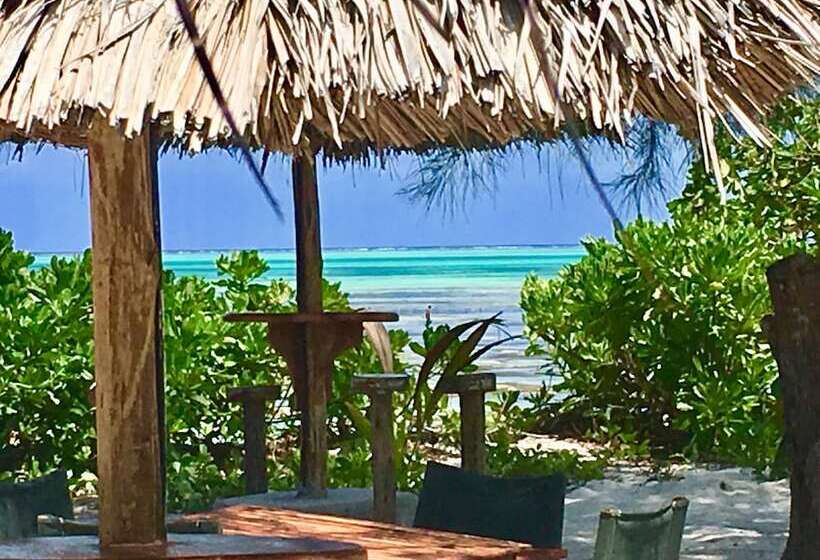 فندق Driftwood Beach Lodge