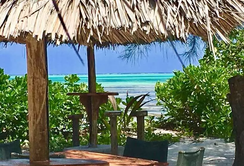 Hotelli Driftwood Beach Lodge