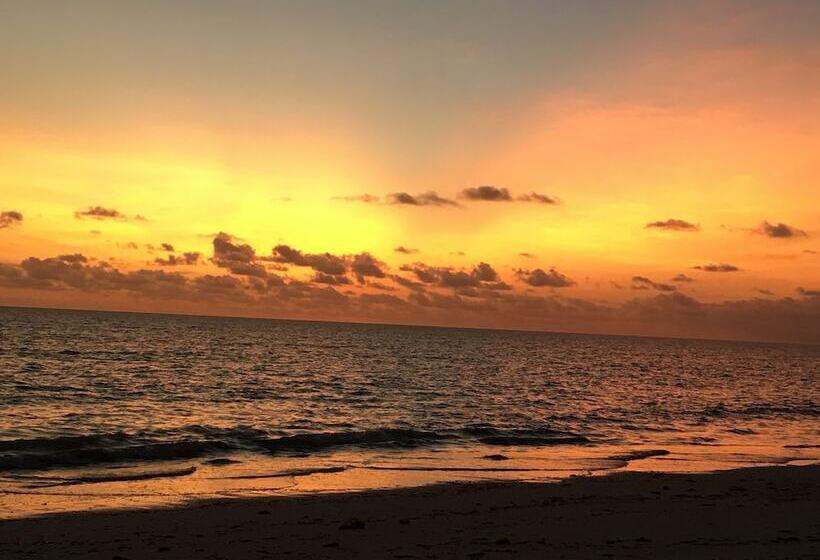 فندق Driftwood Beach Lodge