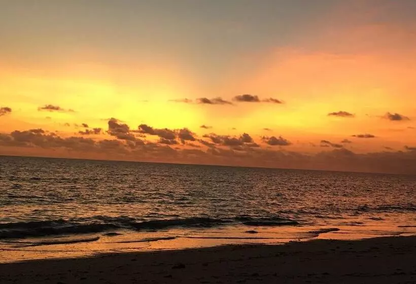 Hotelli Driftwood Beach Lodge